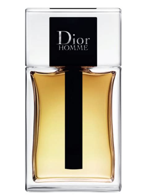 dior homme eau de toilette notes|Dior Homme intense 2020.